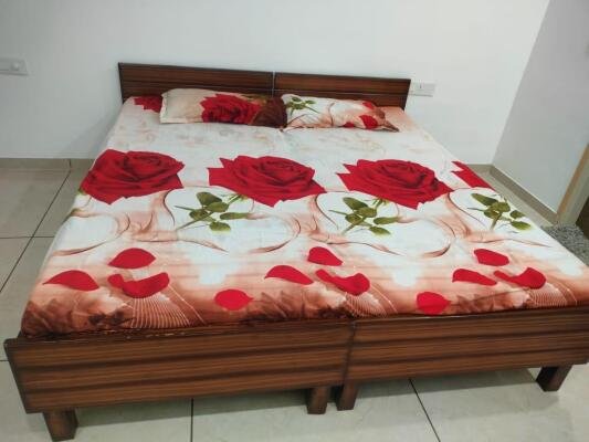 2 BHK Flat for Rent image 5