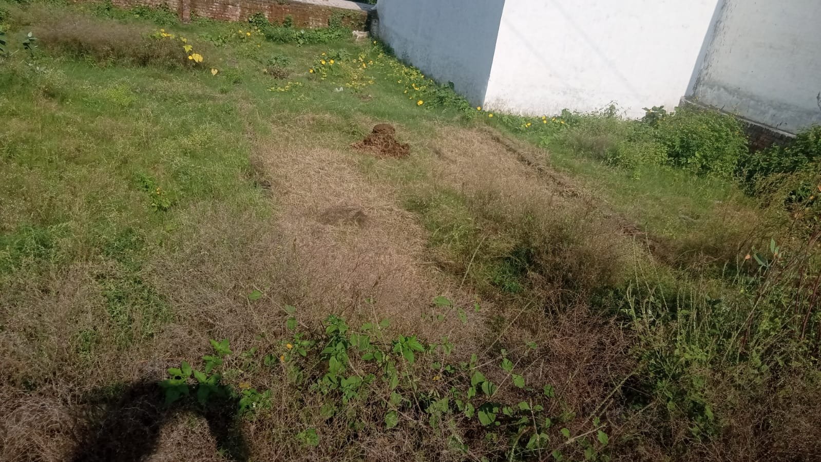 PLOT image 2