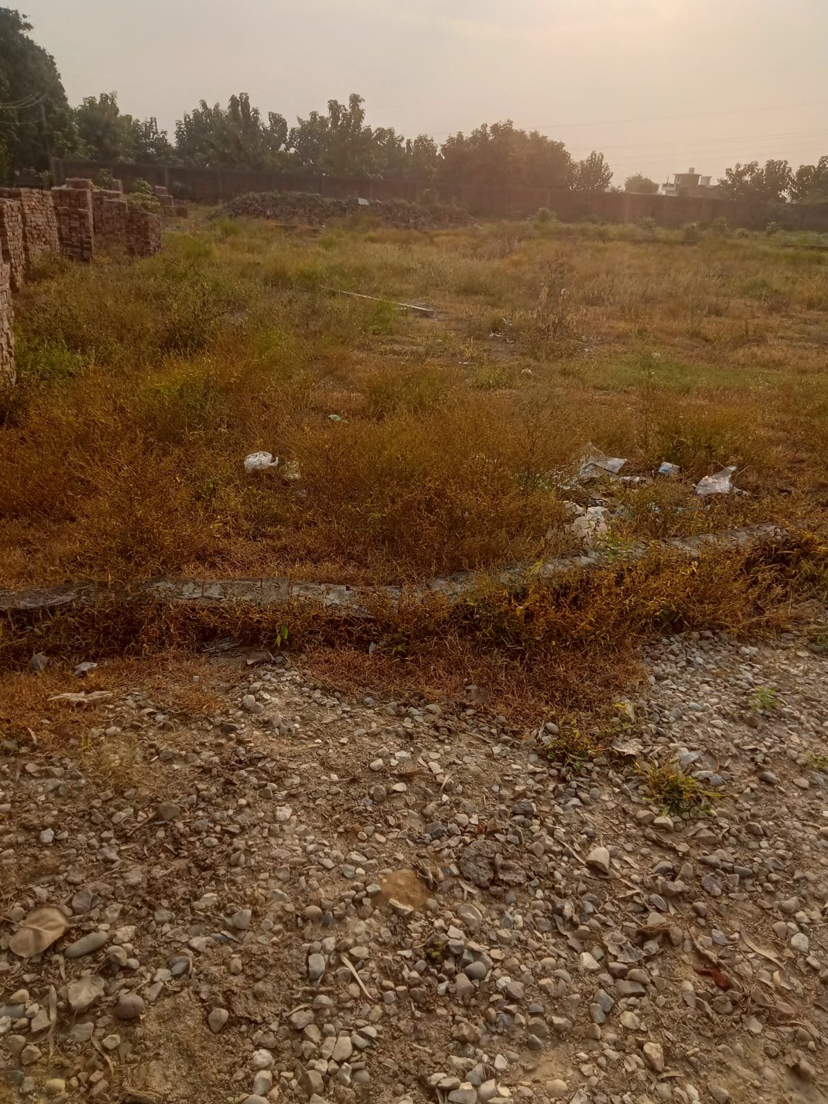 Residential plot