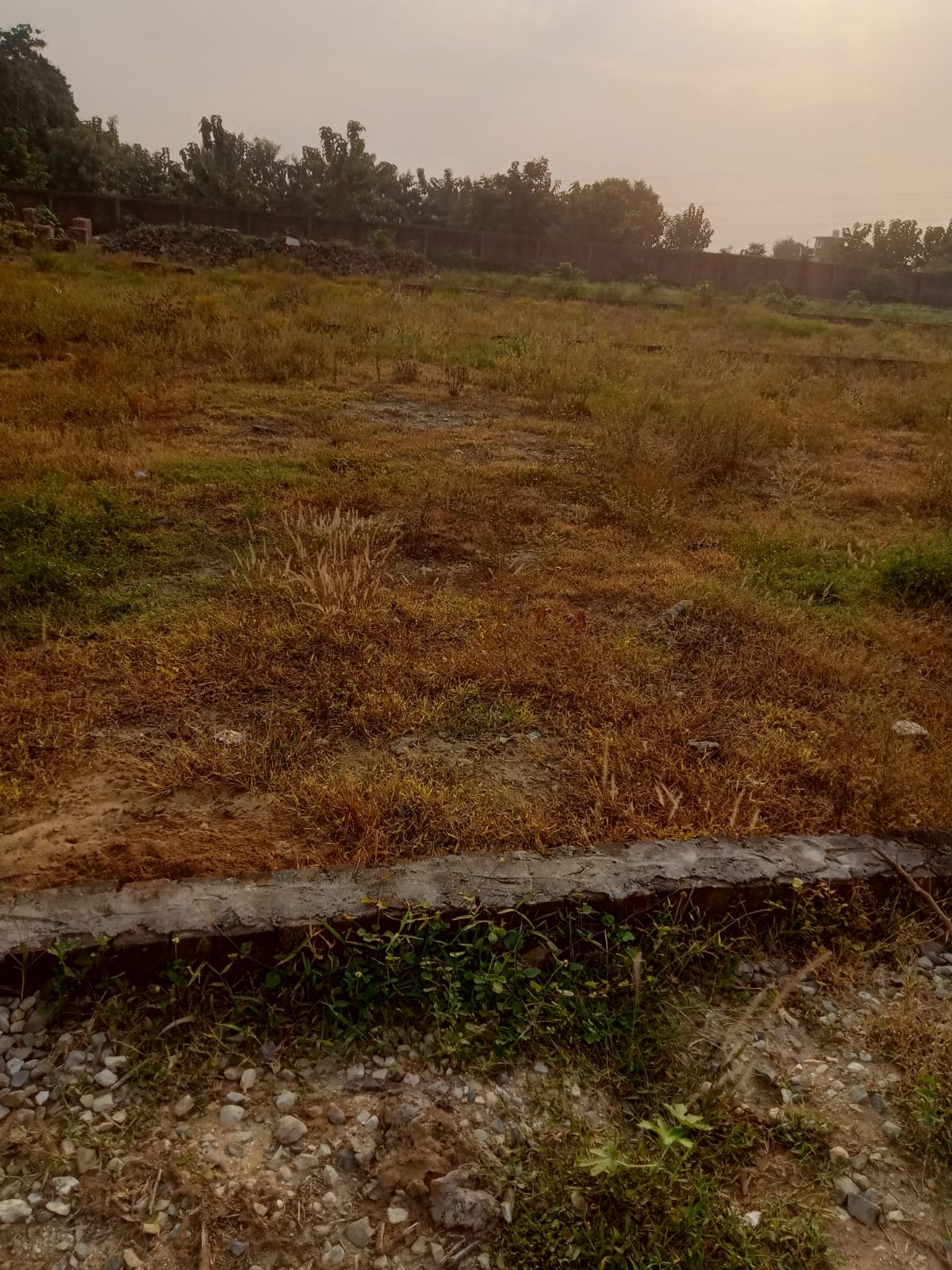 Residential plot