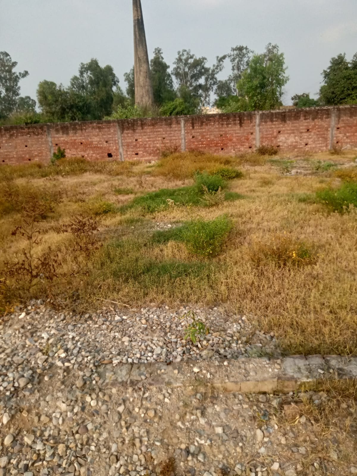 Residential plot