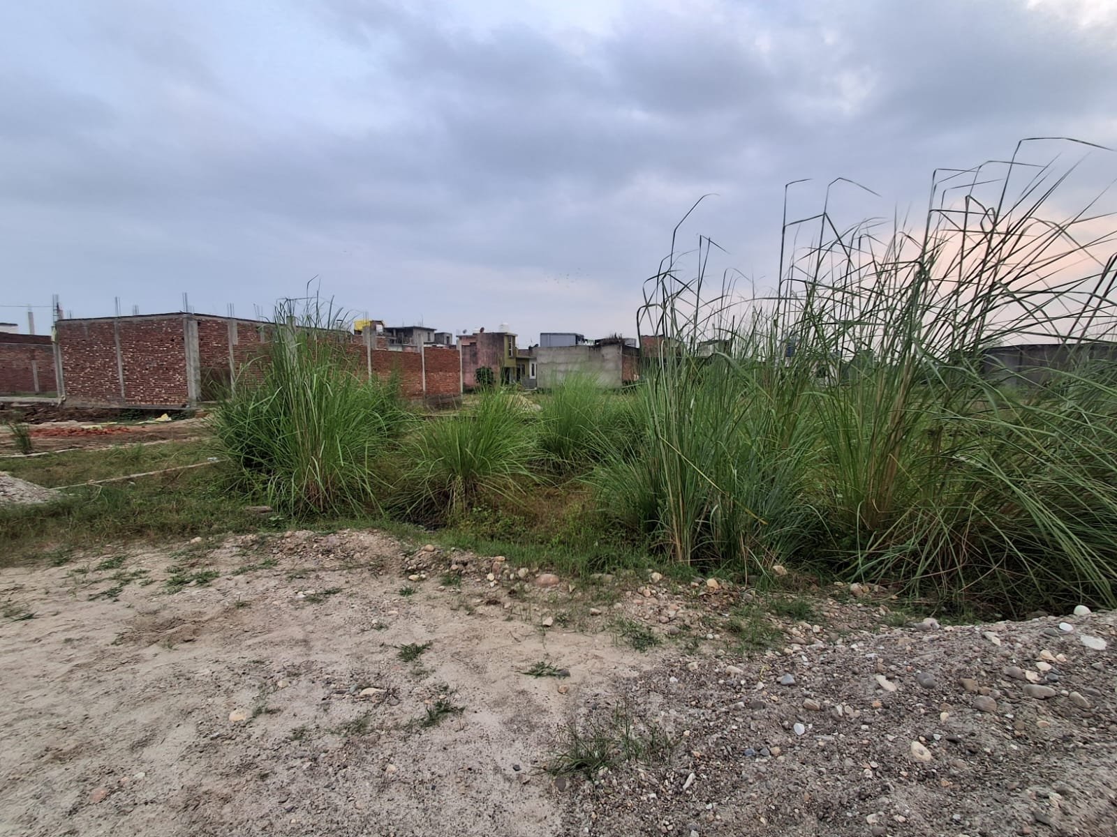 Residential plot