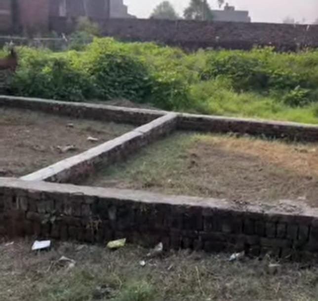 Commercial Plot